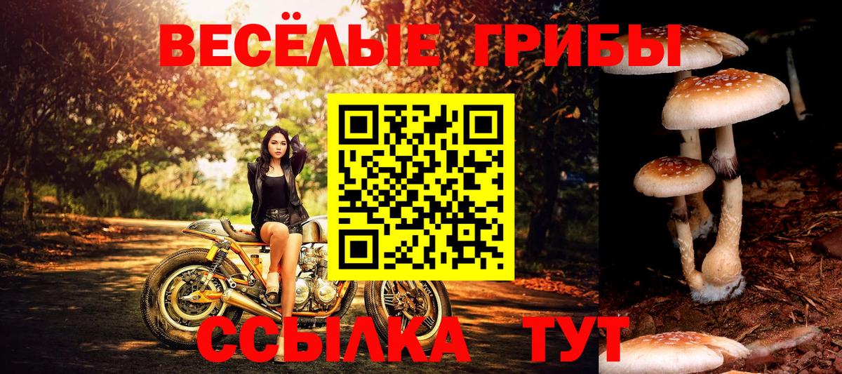 Псилоцибиновые грибы мицелий Еманжелинск