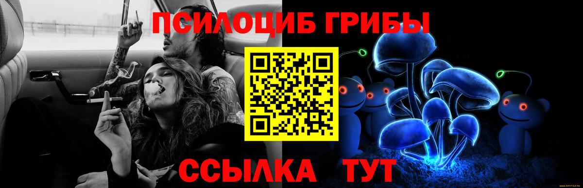 Галлюциногенные грибы прущие грибы  Вход с VPN  Еманжелинск 